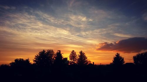 Silhouette trees on landscape against sky at sunset