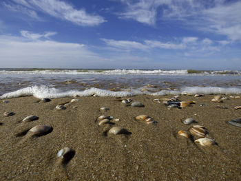 View of calm beach against cloudy sky
