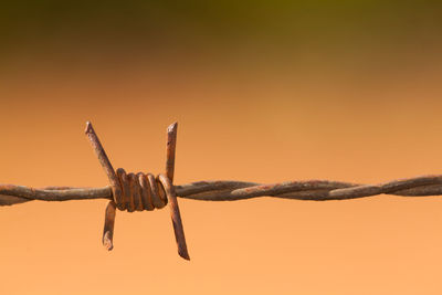 Close-up of barbed wire fence against orange background