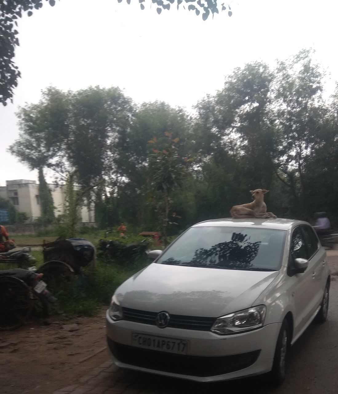 VIEW OF CAR ON ROAD