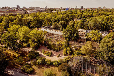 High angle view of plants