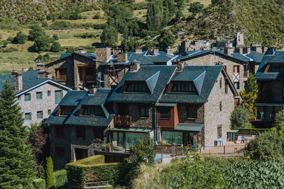 High angle view of houses and trees in village
