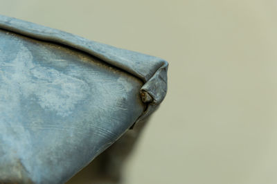 Close-up of lizard on white background