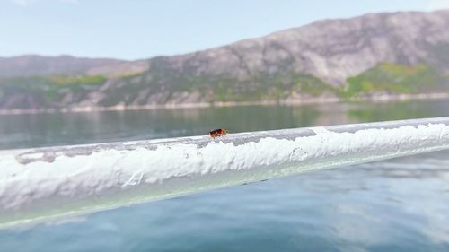 Scenic view of lake and mountains