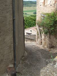 High angle view of house