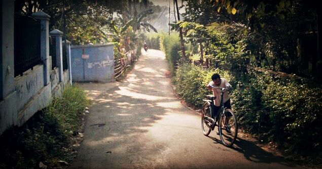 full length, lifestyles, leisure activity, the way forward, tree, walking, casual clothing, rear view, dirt road, boys, men, street, footpath, childhood, transportation, road, outdoors