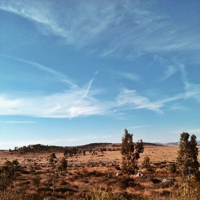 landscape, sky, tranquil scene, tranquility, scenics, nature, blue, beauty in nature, cloud - sky, cloud, horizon over land, field, non-urban scene, remote, desert, tree, day, arid climate, non urban scene, outdoors