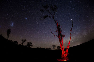 Low angle view of silhouette trees against sky at night