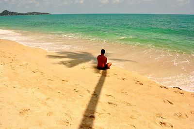 Rear view of man sitting on beach