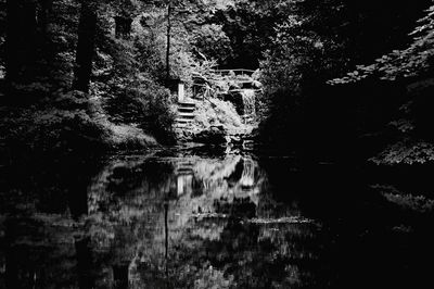 Reflection of trees in lake
