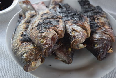 Close-up of roasted fish served in plate on table