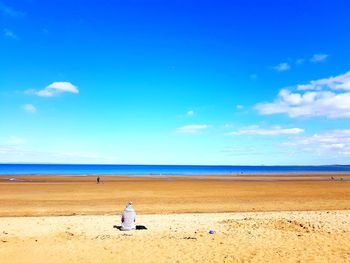 Birds on beach against blue sky