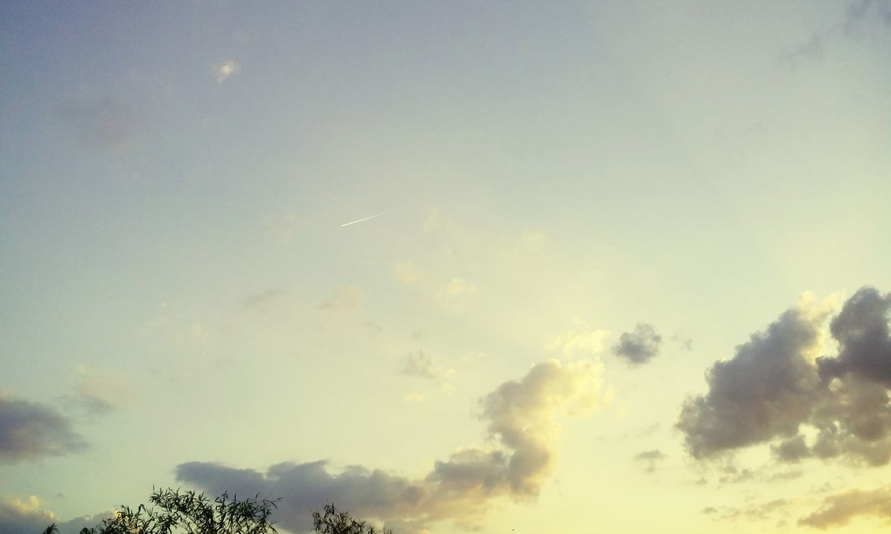 low angle view, sky, beauty in nature, tranquility, scenics, cloud - sky, nature, tranquil scene, tree, sky only, silhouette, cloudy, idyllic, outdoors, treetop, high section, cloud, no people, moon, cloudscape