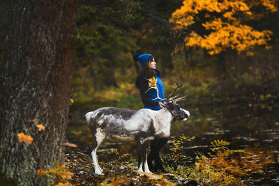 Horse standing in a forest