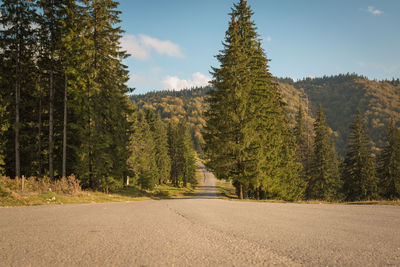 Road amidst trees in forest against sky