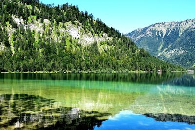 Scenic view of lake by trees against blue sky