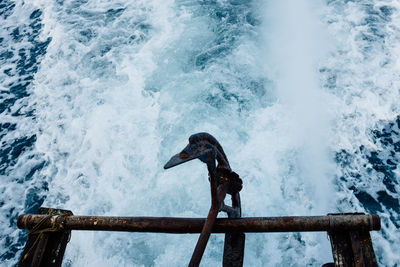 Bird perching on railing against sea