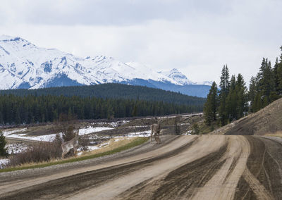 Road amidst snowcapped mountains against sky