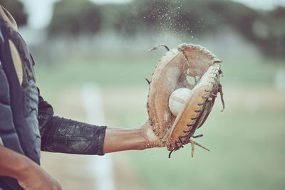 Cropped hand of man holding plant