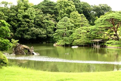 View of a lake