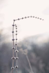 Low angle view of metal against sky