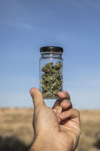 Man hand holding marijuana jar against sky