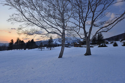 Bare trees on snow covered field against sky during sunset