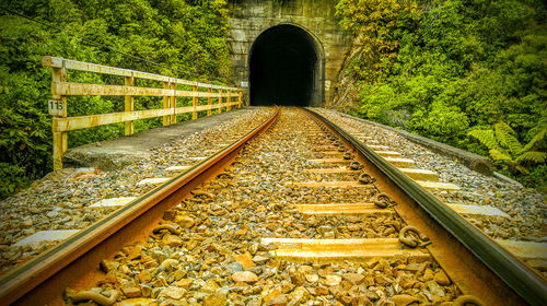 View of railroad tracks along trees