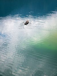 High angle view of man swimming in lake