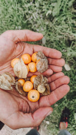 High angle view of hand holding fruit