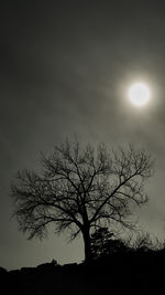 Silhouette of bare tree against sky