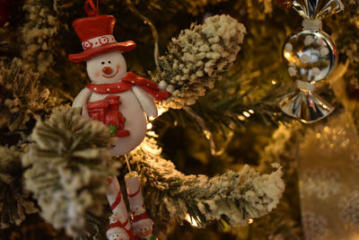 Close-up of christmas tree during winter