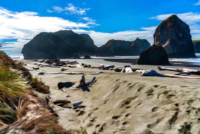 A view of meyers creek beach with waves and rock formations on the coast of oregon state.