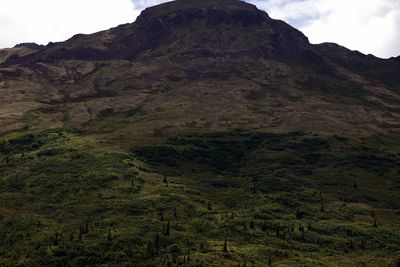 Low angle view of rocky mountains against sky