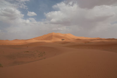 Scenic view of desert