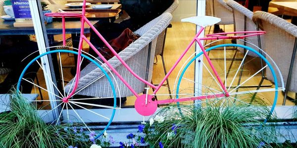 Multi colored bicycle parked by plants