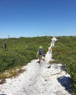 Rear view of woman walking on farm against clear blue sky