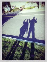 Shadow of people on tree trunk