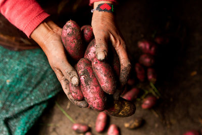 Midsection of person holding vegetables