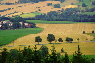 Scenic view of agricultural field