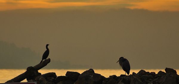 Rocks on sea at sunset