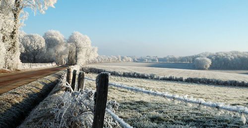 Scenic view of field against clear sky during winter