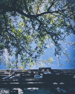 Low angle view of trees