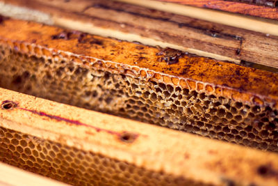 Close-up of wooden beehive