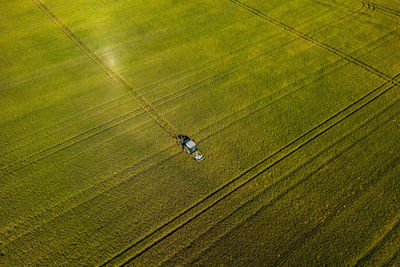 A tractor drives through a grain field and leaves tracks