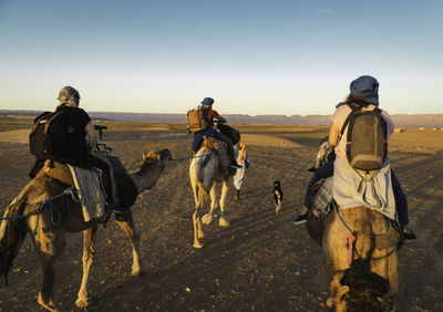 Backpackers riding camels in desert against sky