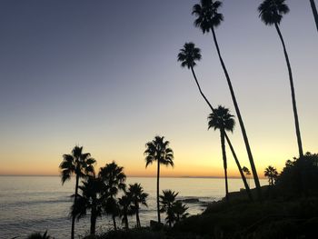 Silhouette palm trees on beach against sky during sunset