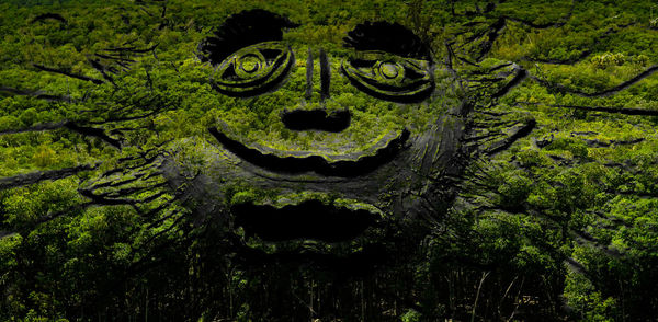 Close-up of statue with moss