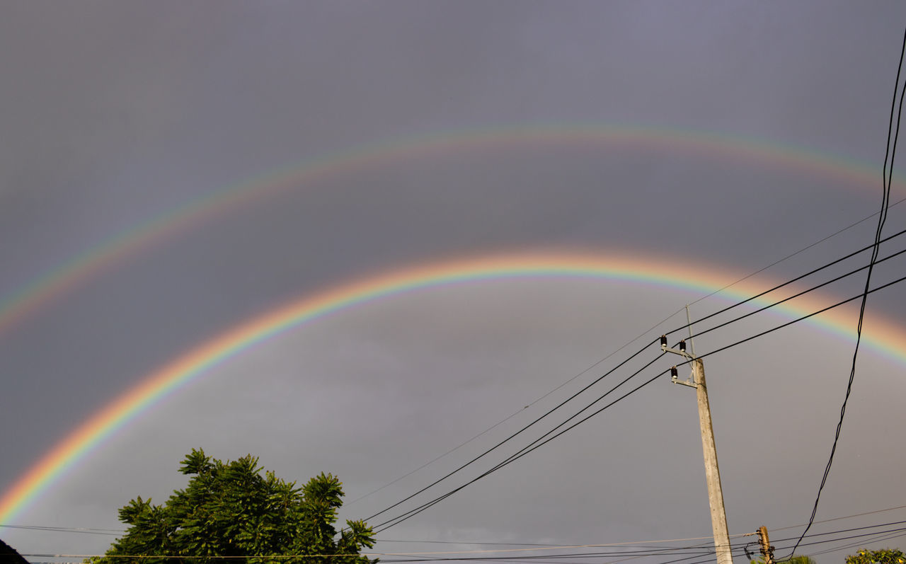 LOW ANGLE VIEW OF RAINBOW OVER TREE AGAINST SKY