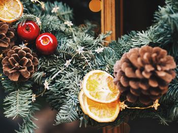 Close-up of christmas tree at night